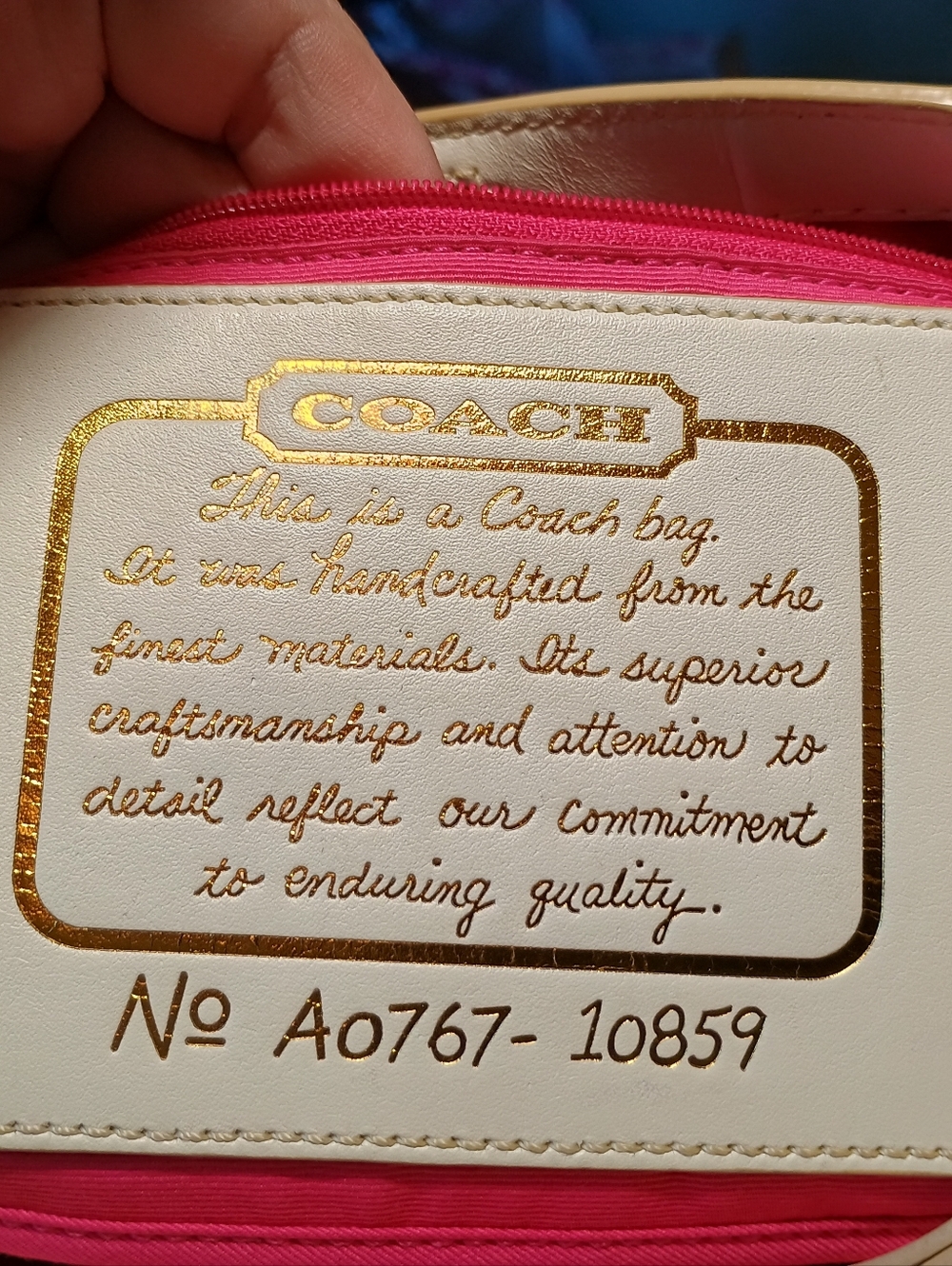 Coach - Picture 4 of 7
